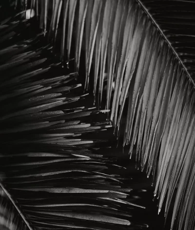 kellen-riggin-9pt1ix1bz88-unsplash-hero