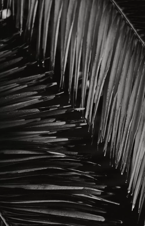 kellen-riggin-9pt1ix1bz88-unsplash-hero